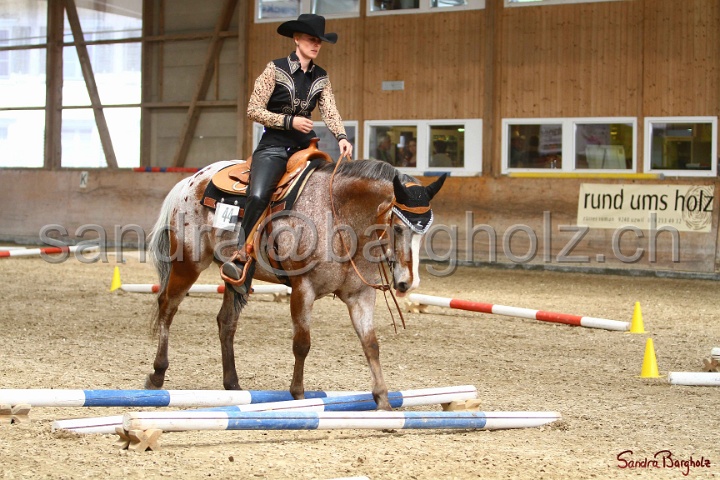 28-ApHC OT_222.jpg
